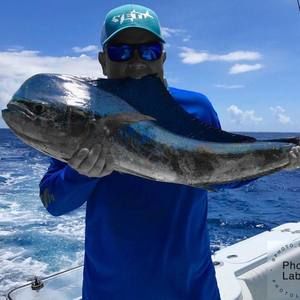 Meet your Posher, Jason